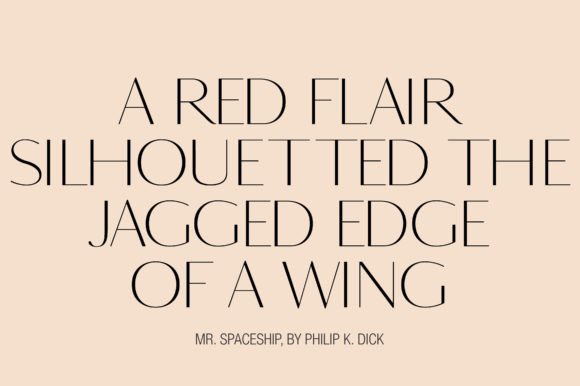 Bloom Font - Preview 3