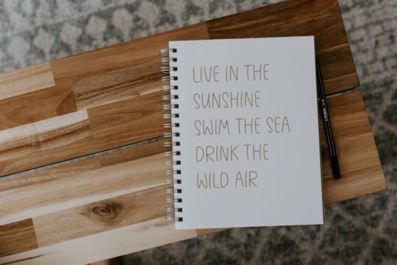 Brianna Font - Preview 1