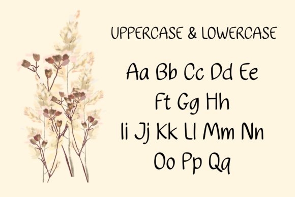 Eleanora Font - Preview 3
