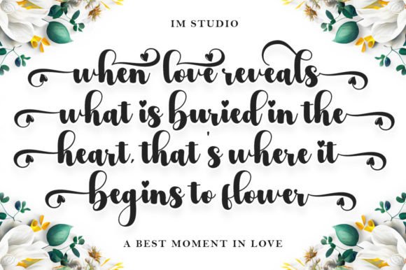 Adele Font - Preview 2