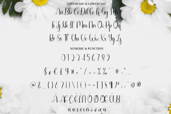Darling Font - Preview 6