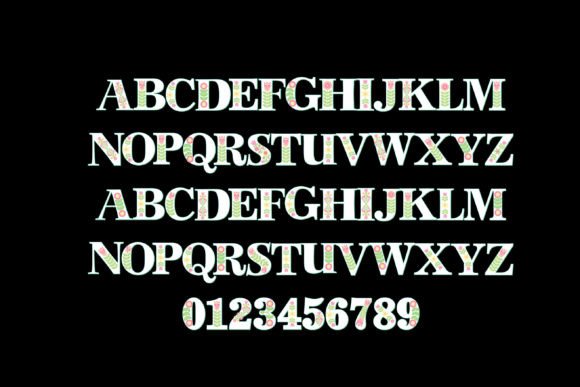 Folksy Spring Font PNG with transparent background - Preview 2