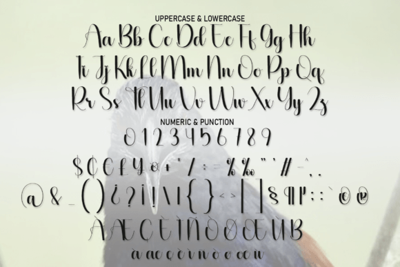 Angry Font - Preview 6