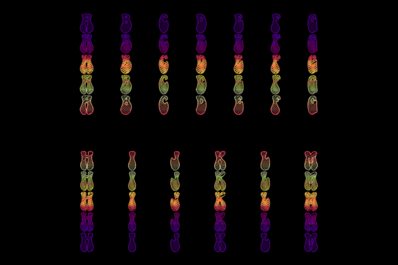 Funkadelic Font - Preview 1