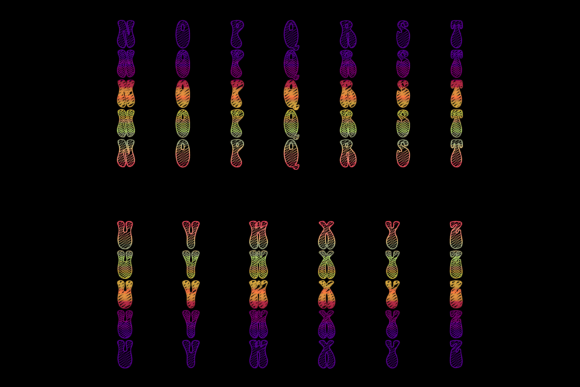 Funkadelic Font - Preview 2