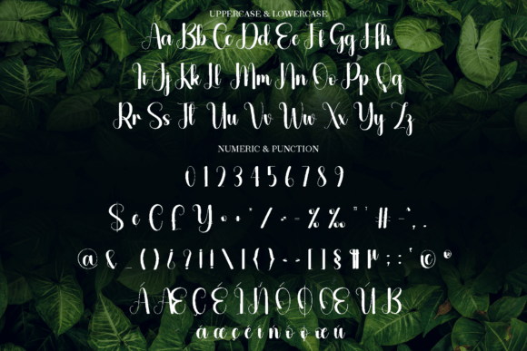 Greenleaf Font - Preview 6