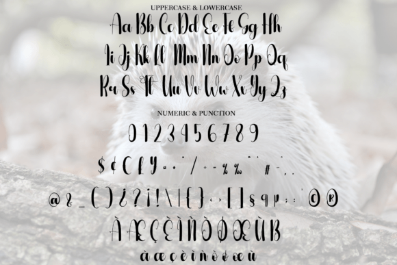 Hedgehog Font - Preview 6
