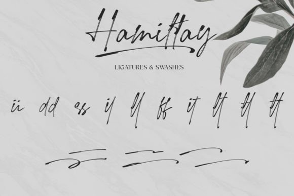 Hamiltay Font - Preview 6