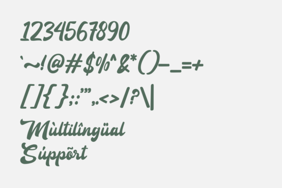 Anteng Jatisari Font - Preview 5