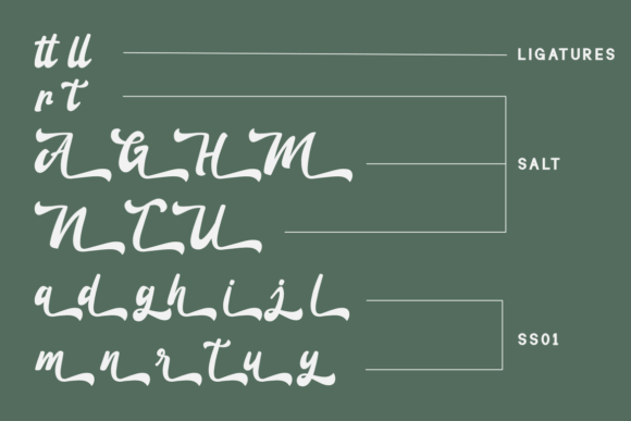 Anteng Jatisari Font - Preview 6