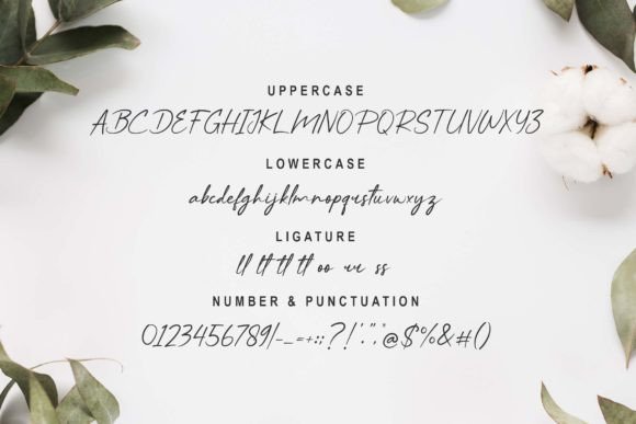 Samsudin Font PNG with transparent background - Preview 4
