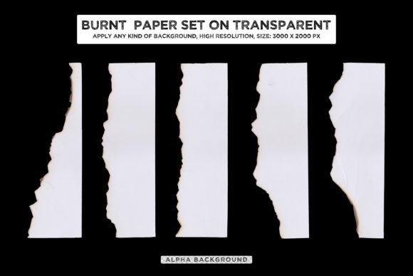 Torn Ripped Paper Bundle