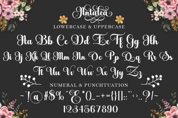 Antalea Font - Preview 5