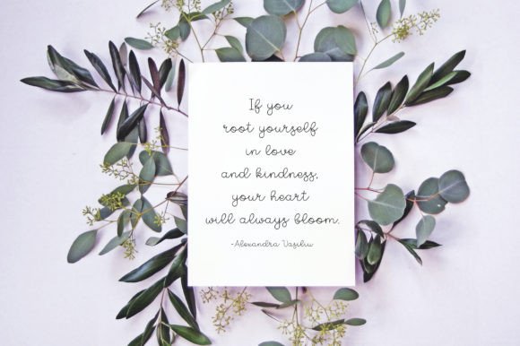 Carota Font - Preview 5