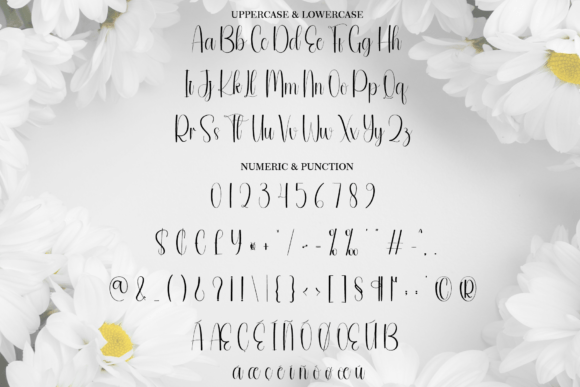 Daisy Font - Preview 5
