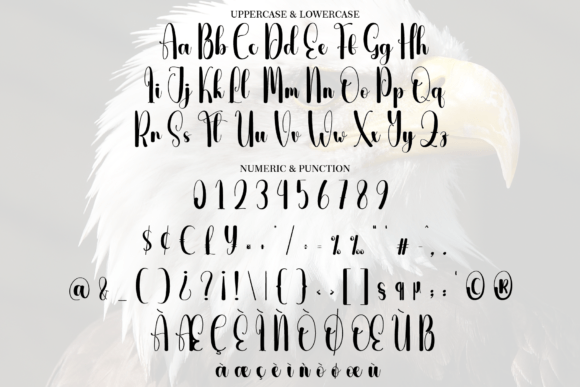 Eagle Font - Preview 6