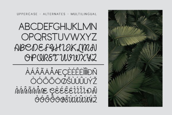 Freak Mailers Font - Preview 6