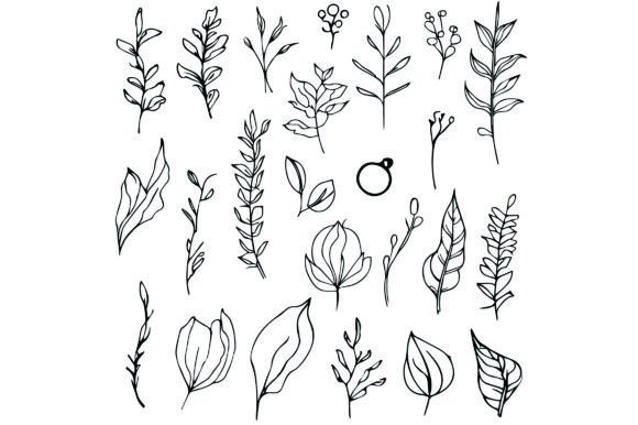 Botanical Line Drawing Leaves