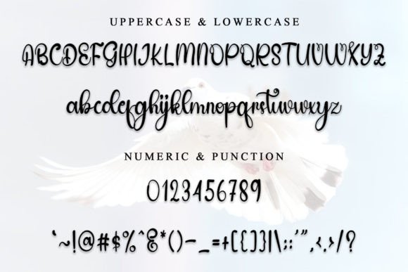 Animals Font - Preview 2