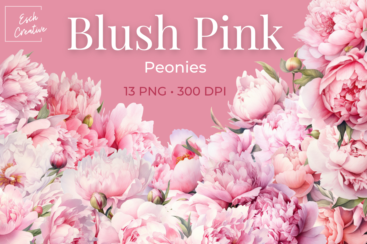 Blush pink Peonies Watercolor Flowers