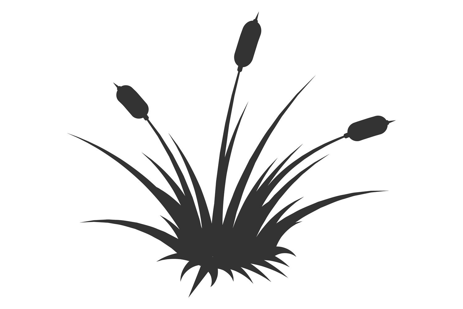Reed Icon. Growing Swamp Plant Black Sil Graphic by microvectorone ...