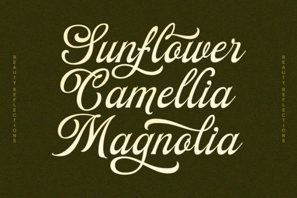 Beauty Reflections Font - Preview 6
