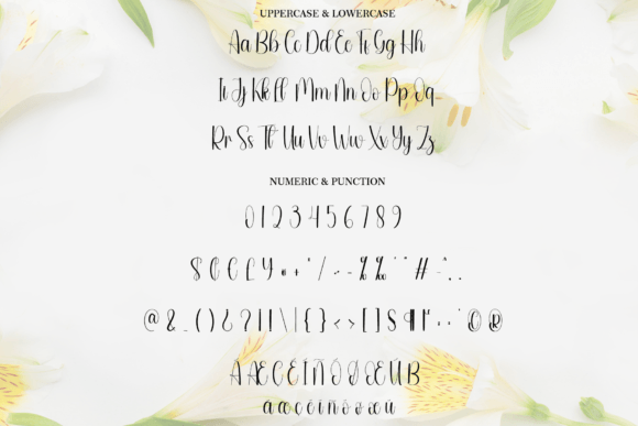 Edelweiss Font - Preview 6