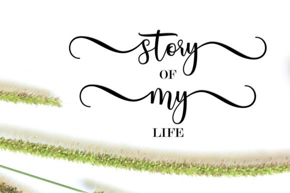 Mitoha Font PNG with transparent background - Preview 1