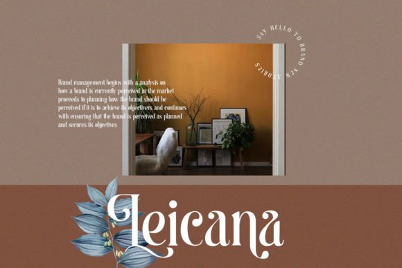 Begova Font - Preview 3