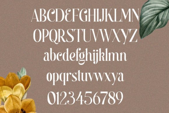 Begova Font - Preview 5