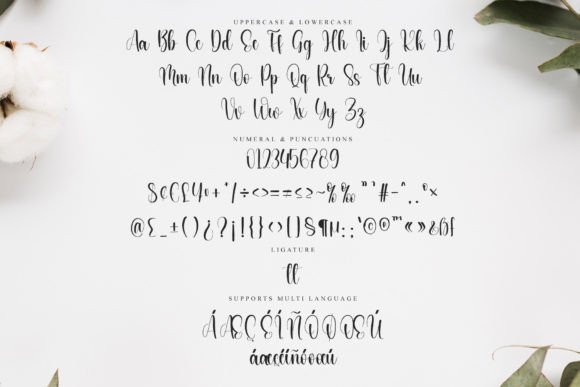Delicates Font - Preview 5
