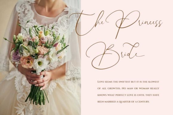 Angelica Boutique Font - Preview 3
