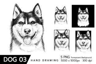 Hand Drawn Siberian Husky