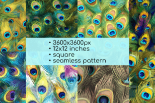 Peacock Feathers Digital Paper Patterns Graphic by Red Gypsy Vintage ...