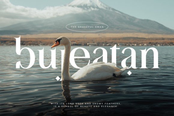 Alhadara Font - Preview 2