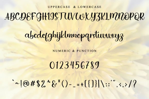 Berry Font - Preview 5
