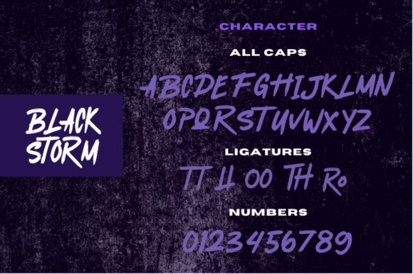 Black Storm Font - Preview 5