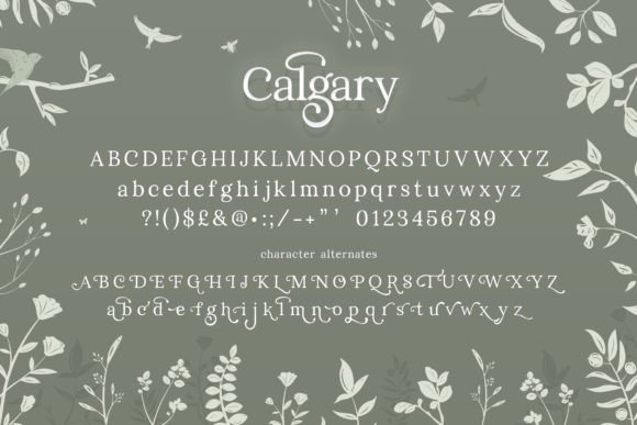 Calgary Font - Preview 4