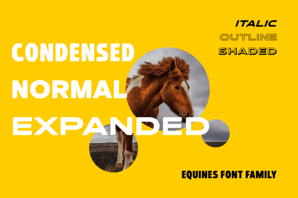 Equines Font - Preview 1
