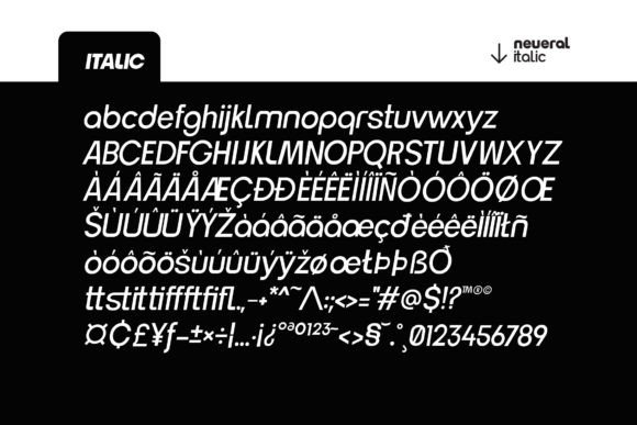 Neueral Grotesk Variable Font PNG with transparent background - Preview 2