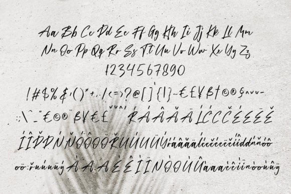 Palmero Bay Font PNG with transparent background - Preview 3