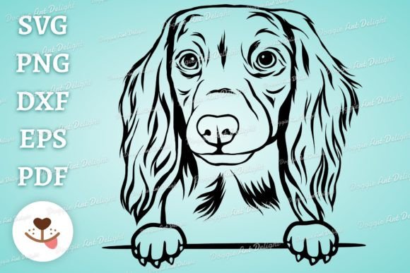 Peeking Long Haired Dachshund Svg Png
