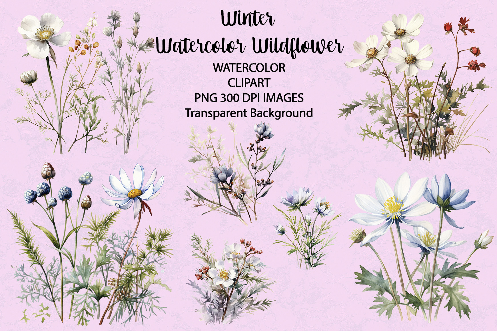 Winter Wildflower Watercolor Clipart Graphic by siatia · Creative Fabrica