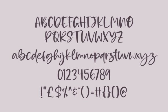 Ailenda Script Font - Preview 2