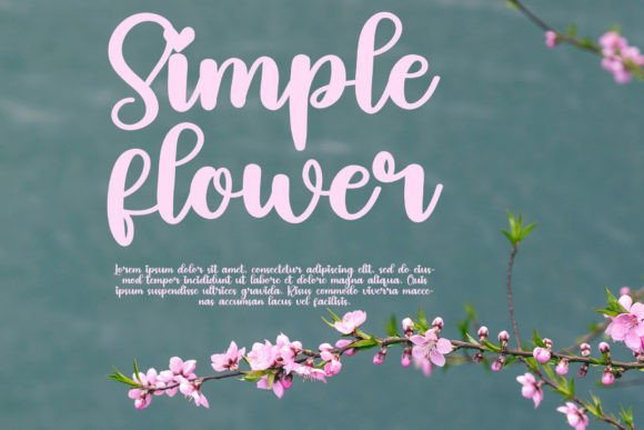 Birthday Font - Preview 1
