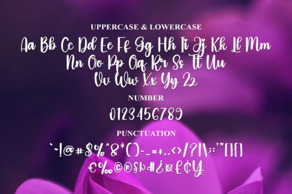 Birthday Font - Preview 5
