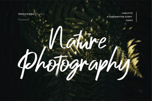 Charlotte Font - Preview 5