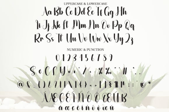 Aloevera Font - Preview 6