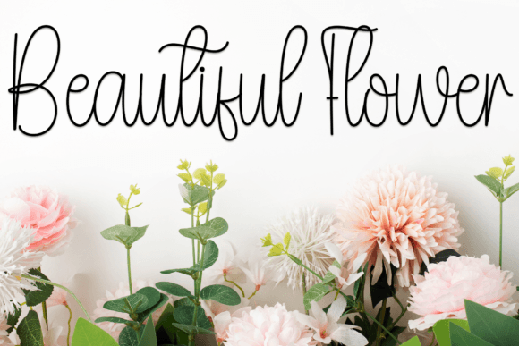 Begonias Font - Preview 4