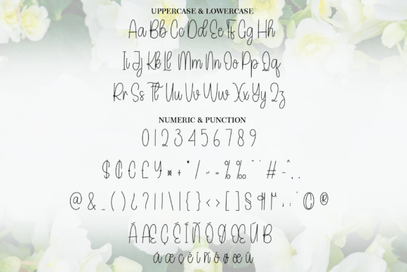 Begonias Font - Preview 6